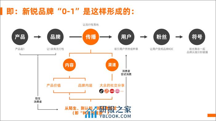 臻味坚果“新锐品牌”策略设想&传播规划 - 第4页预览图