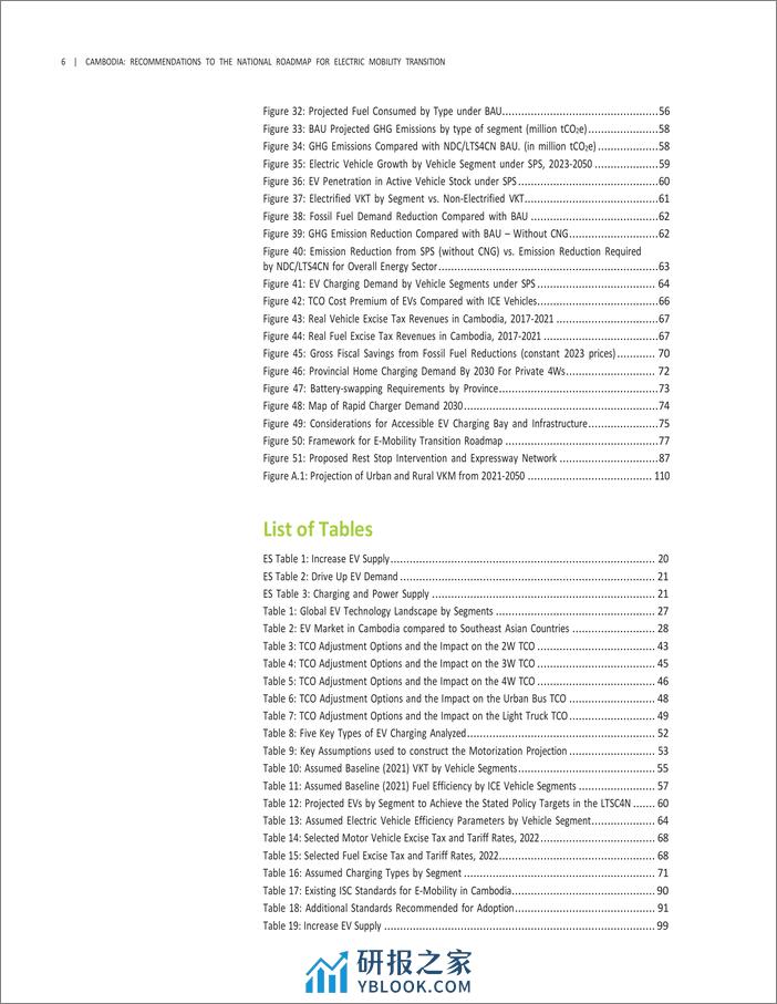 世界银行-柬埔寨：对电动交通转型国家路线图的建议（英）-2024.3-132页 - 第6页预览图