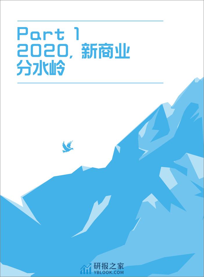 2021-新商业蓝皮书2021 - 第6页预览图