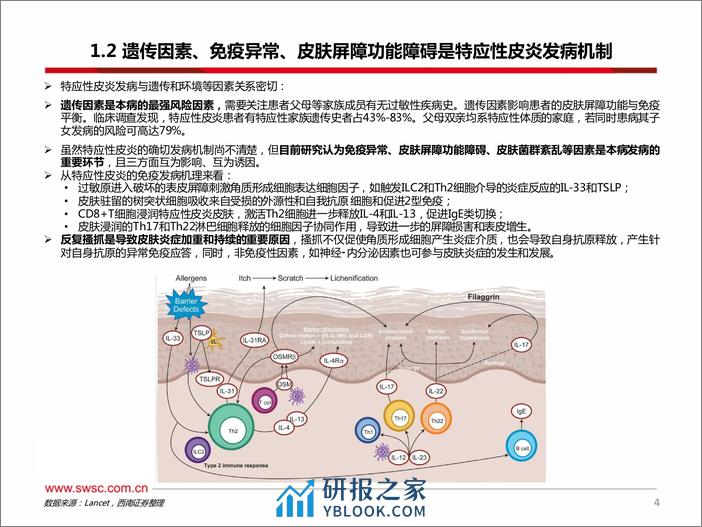 医药生物：特应性皮炎药物国产替代将至 - 第5页预览图