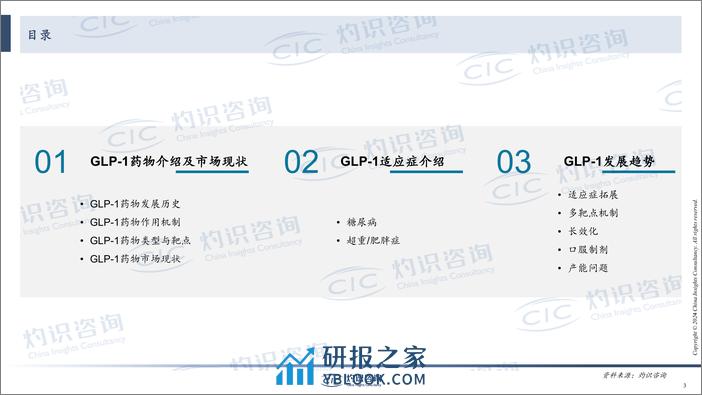 CIC灼识咨询-GLP-1行业蓝皮书-2024-25页 - 第3页预览图