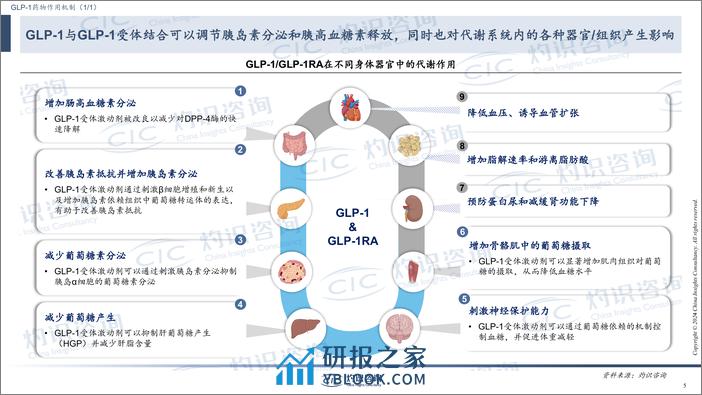 CIC灼识咨询-GLP-1行业蓝皮书-2024-25页 - 第5页预览图