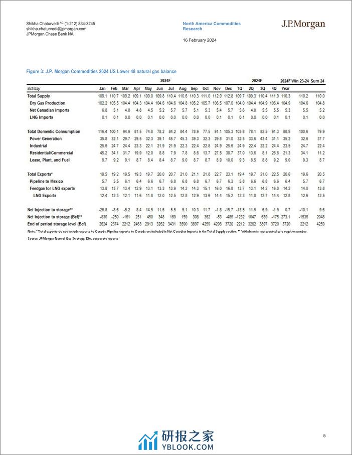 JPMorgan Econ  FI-US Natural Gas Flash Note Max pain-106564017 - 第5页预览图