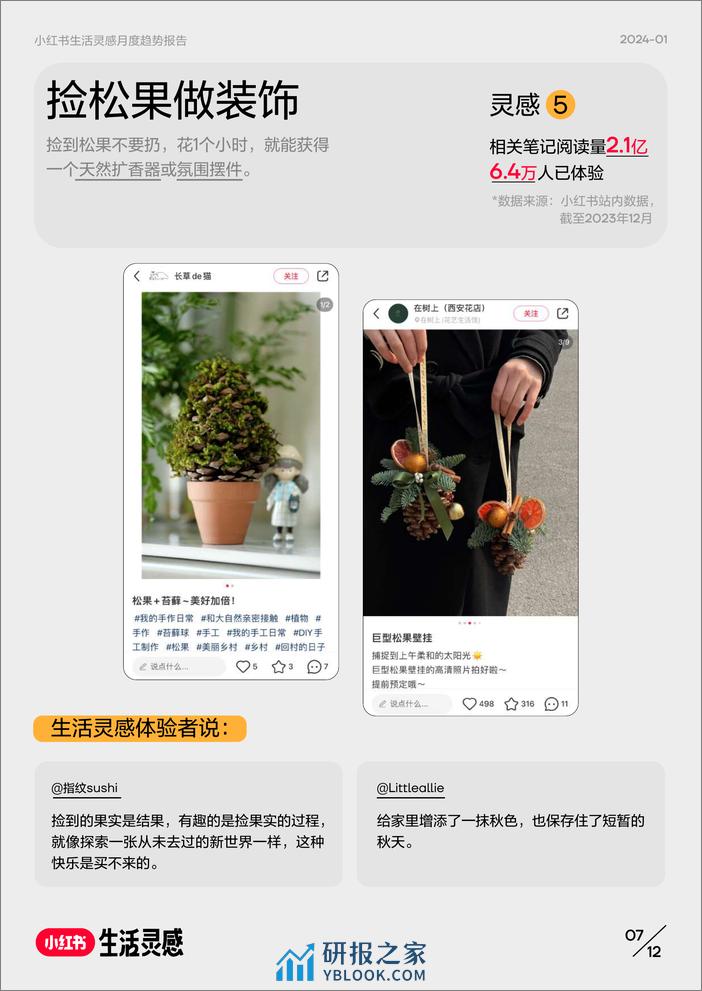 小红书生活灵感-月度趋势报告-202401-小红书 - 第8页预览图