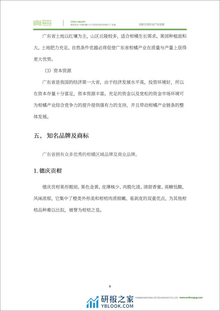 农小蜂-中国柑橘十大产区系列研究简报（四）-广东省 - 第8页预览图