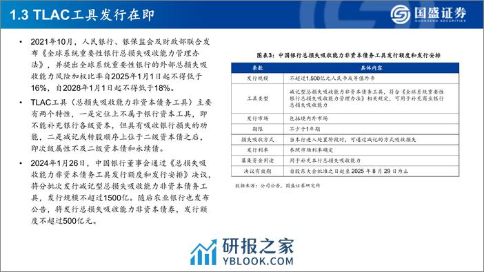 银行行业深度：发行二永债的银行，有哪些基本面特征 - 第6页预览图