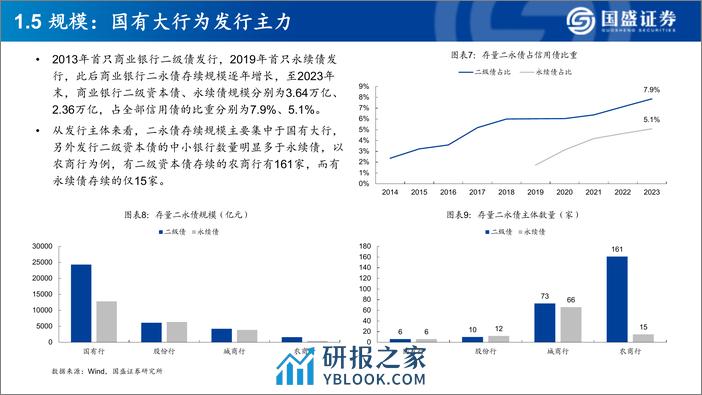 银行行业深度：发行二永债的银行，有哪些基本面特征 - 第8页预览图