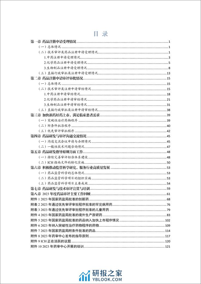 2023年度药品审评报告-125页 - 第2页预览图