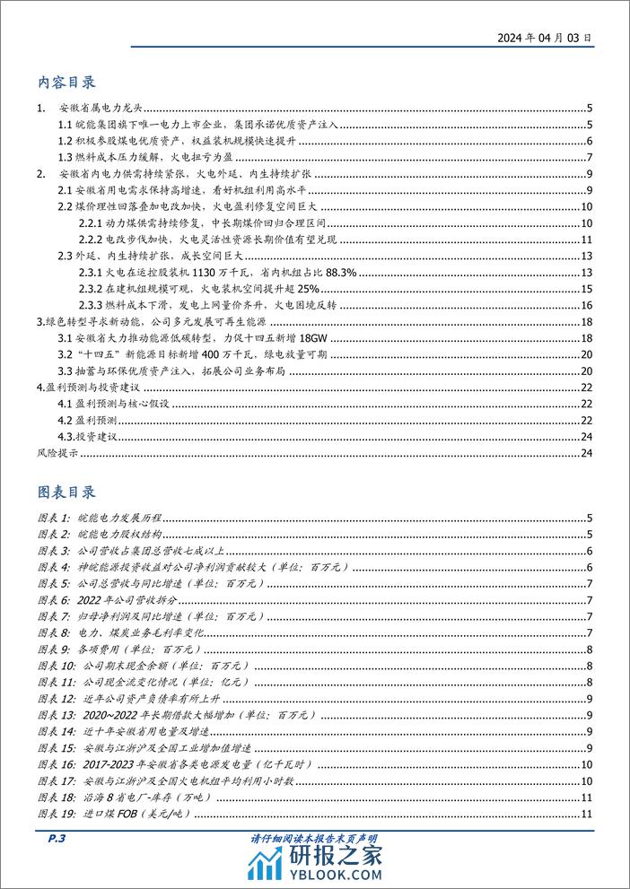 皖能电力-000543.SZ-以皖为基，外延、内生同步扩张，火绿储多轮驱动-20240403-国盛证券-25页 - 第3页预览图