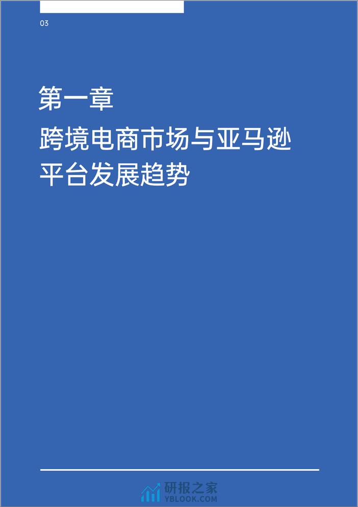 亚马逊 独立站双轨模式出海策略报告 - 第4页预览图