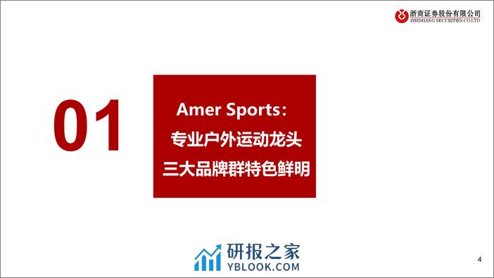 从Amer Sports IPO看运动行业发展：把握需求细分化的时代脉搏 - 第4页预览图