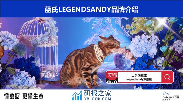 全价猫主粮调研—蓝氏品牌拆解 - 第4页预览图