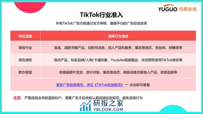 0SSS-TikTok广告平台介绍及选品指南 - 第5页预览图