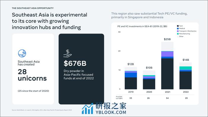 大胆举动：引领东南亚下一波消费增长 - 第8页预览图