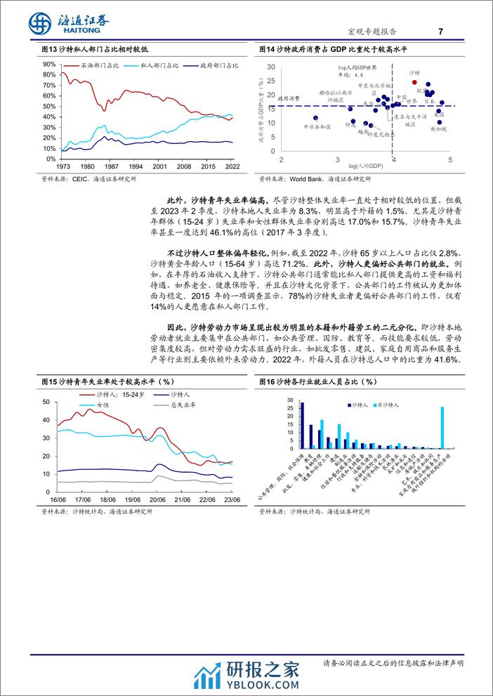 新兴经济研究系列之九：沙特，哪些投资机会？-240409-海通证券-12页 - 第7页预览图