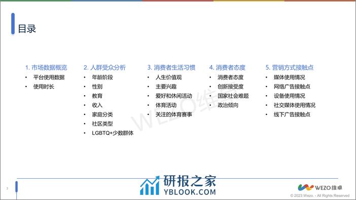 美国instagram社交用户调查-维卓 - 第3页预览图