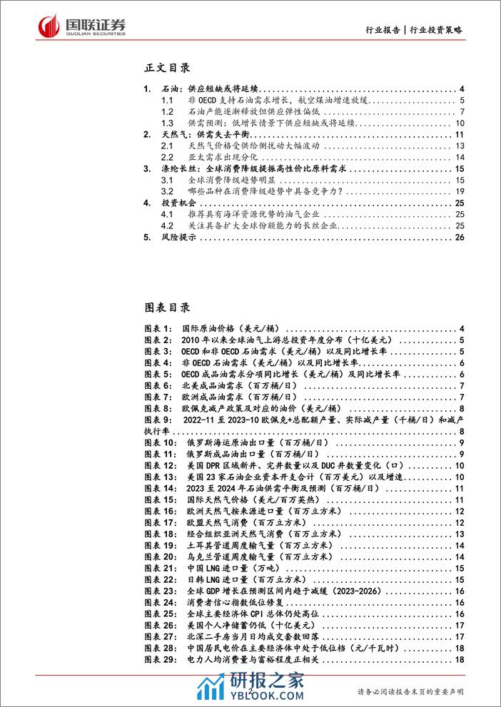 石油石化2024年投资策略：紧抓上游资源与消费降级两条主线-国联证券 - 第2页预览图