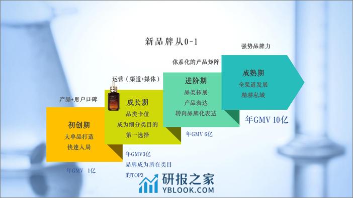 护肤品牌 品牌策略及首波新品上市传播规划【美妆护肤】【种草传播】 - 第4页预览图