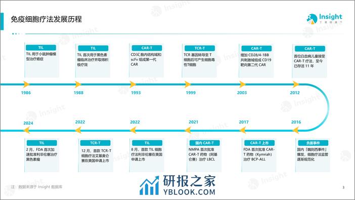 丁香园Insight：2024实体瘤免疫细胞疗法的全球竞争格局分析报告 - 第4页预览图