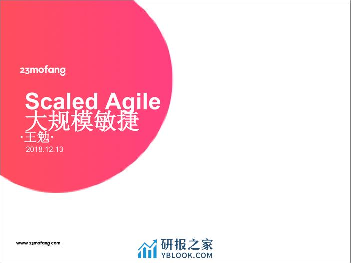 5_王勉_ScaledAgile - 第3页预览图