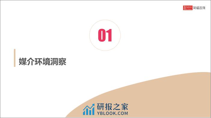 【康师傅】新品上市传播策略及媒介投放计划 - 第6页预览图