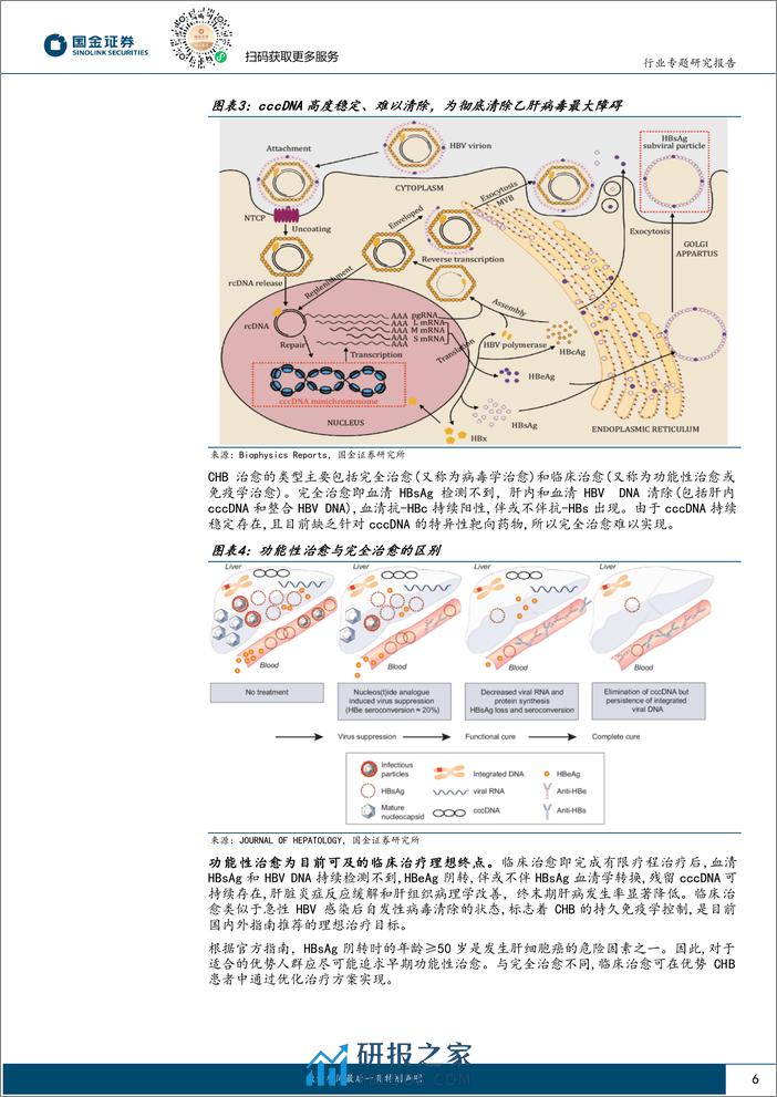 慢乙肝治愈行业深度系列-创新疗法探索道阻且长-长效干扰素基石地位稳固-国金证券 - 第6页预览图