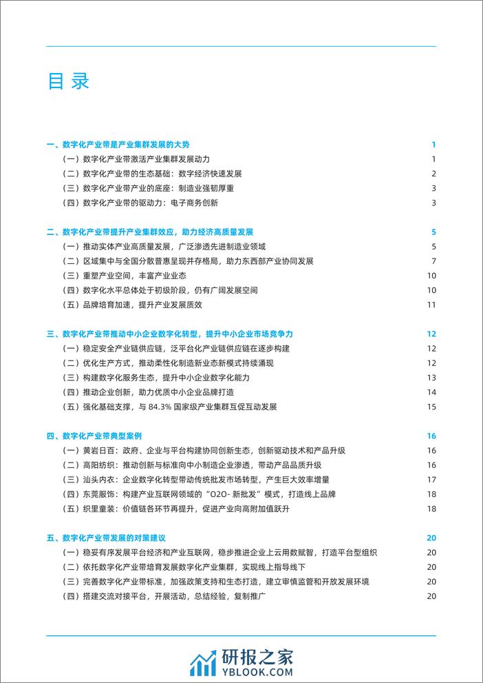 2022-数字化产业带：增强产业韧性与活力 - 第3页预览图