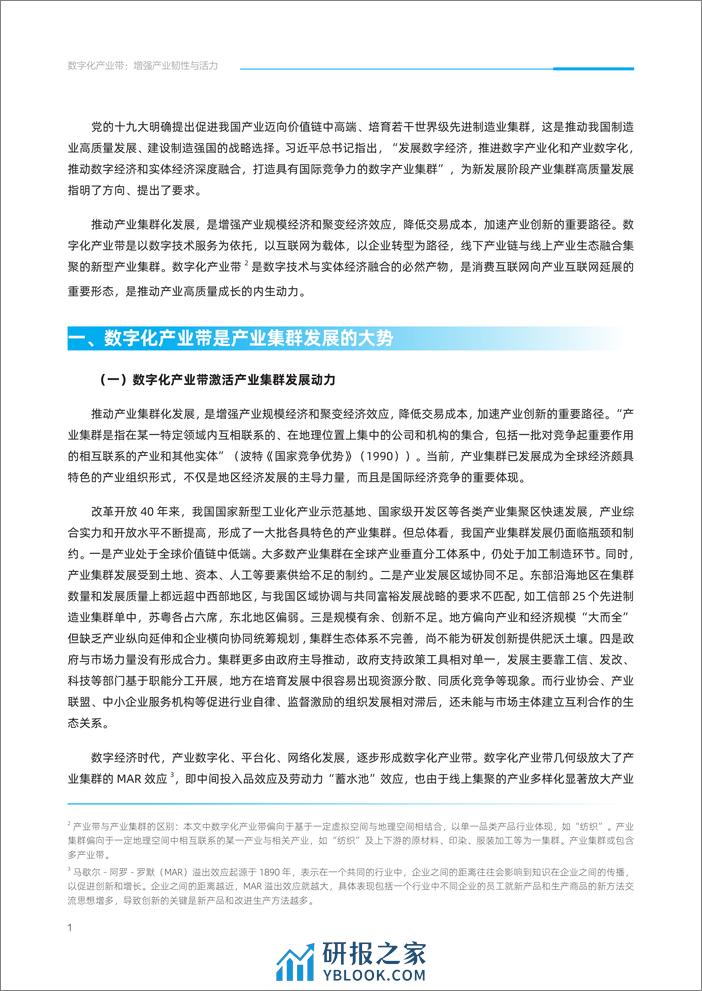 2022-数字化产业带：增强产业韧性与活力 - 第4页预览图