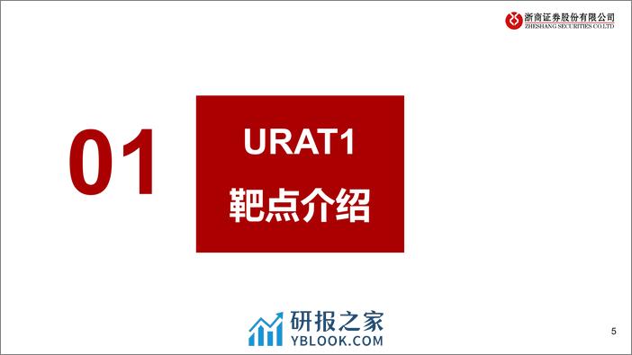 创新药靶点系列研究之二：URAT1：痛风最热，静待突破 - 第5页预览图