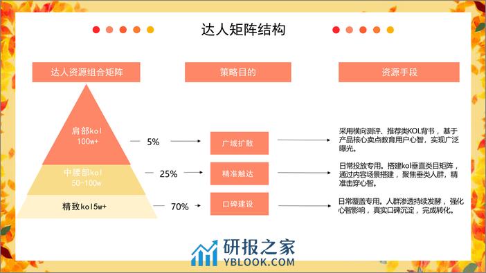 零食品牌抖音达人投放规划【糖果】【短视频营销】【种草传播】 - 第4页预览图