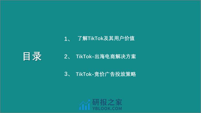 TikTok产品介绍 - 第2页预览图