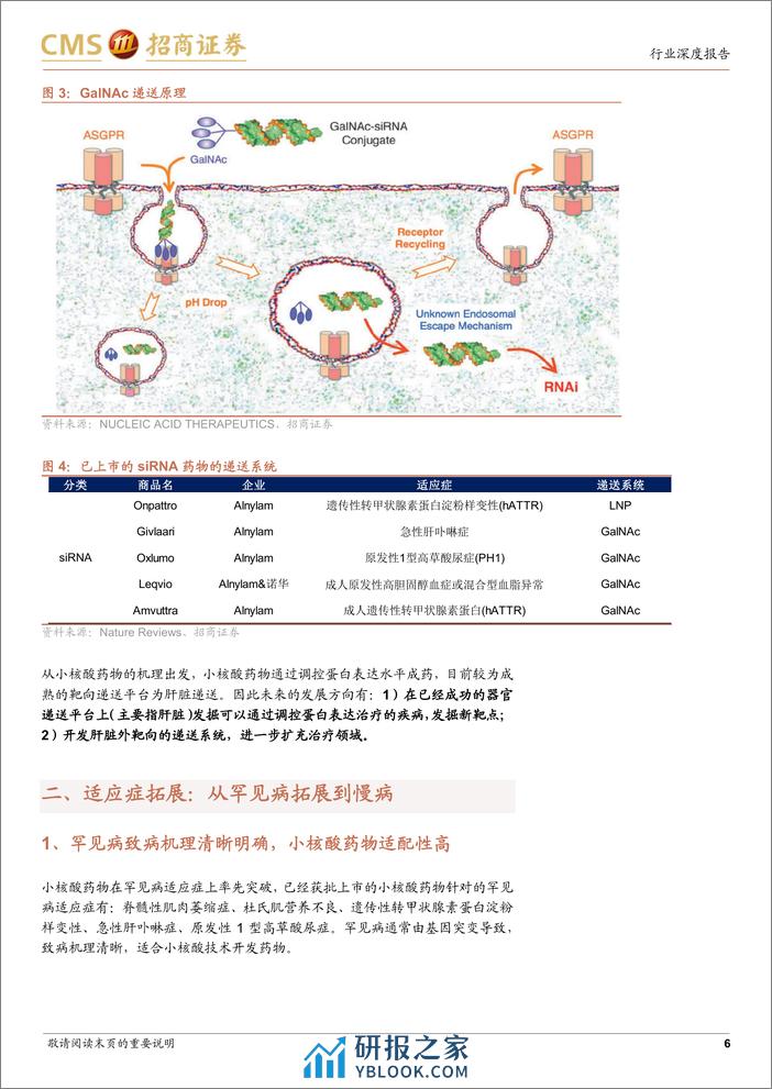 创新药系列报告（五）—进击的小核酸：从罕见病到慢病，从肝内靶向到肝外靶向 - 第6页预览图