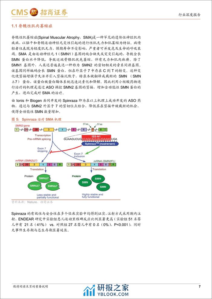 创新药系列报告（五）—进击的小核酸：从罕见病到慢病，从肝内靶向到肝外靶向 - 第7页预览图