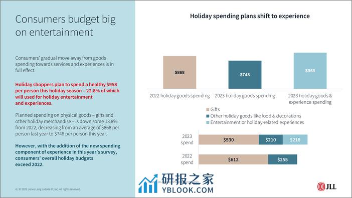 2023假日购物调查报告-英文版-仲量联行 - 第6页预览图