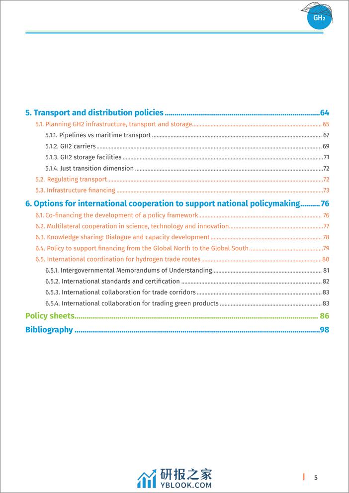 IRENA-绿色氢气促进可持续工业发展：发展中国家的政策工具包（英）-2024.1-106页 - 第5页预览图