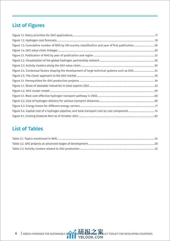 IRENA-绿色氢气促进可持续工业发展：发展中国家的政策工具包（英）-2024.1-106页 - 第6页预览图