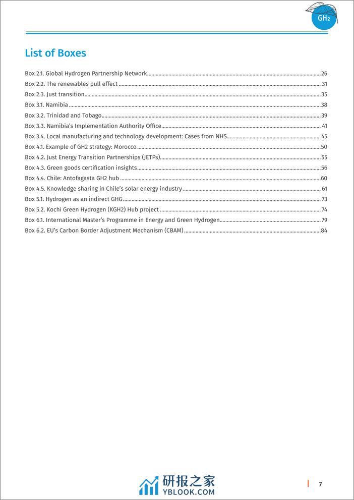 IRENA-绿色氢气促进可持续工业发展：发展中国家的政策工具包（英）-2024.1-106页 - 第7页预览图