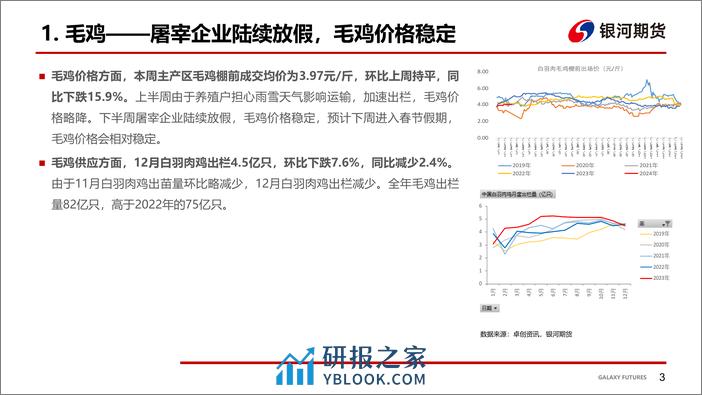 鸡肉：节前鸡苗价格大幅上涨 毛鸡及鸡产品稳定-20240202-银河期货-17页 - 第4页预览图