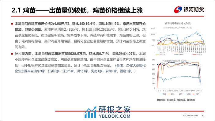 鸡肉：节前鸡苗价格大幅上涨 毛鸡及鸡产品稳定-20240202-银河期货-17页 - 第5页预览图