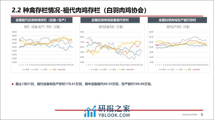 鸡肉：节前鸡苗价格大幅上涨 毛鸡及鸡产品稳定-20240202-银河期货-17页 - 第6页预览图