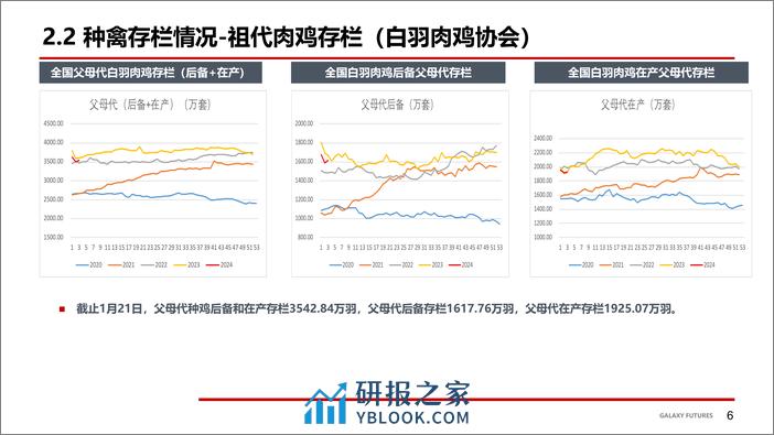 鸡肉：节前鸡苗价格大幅上涨 毛鸡及鸡产品稳定-20240202-银河期货-17页 - 第7页预览图