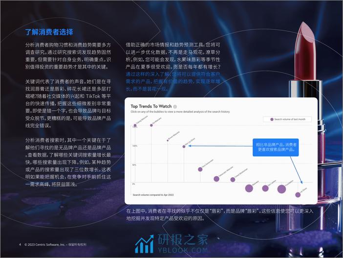 CentricSoftware：鞋服美妆产品跨境出海企业：如何把握趋势和精准促销 - 第4页预览图