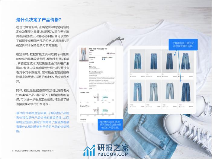 CentricSoftware：鞋服美妆产品跨境出海企业：如何把握趋势和精准促销 - 第6页预览图