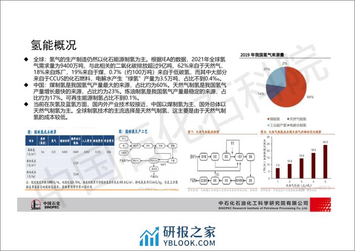 电解水制氢技术现状与应用 - 第7页预览图