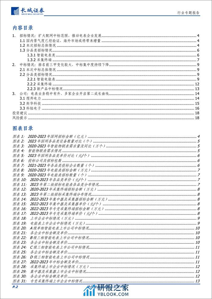 电力设备及新能源：国家电网扩大中标范围，推动电表企业加速发展 - 第2页预览图