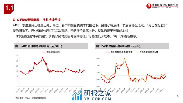 生猪和动保行业2024Q1业绩前瞻：生猪板块蓄力反转，动保静待景气复苏-240407-浙商证券-14页 - 第5页预览图