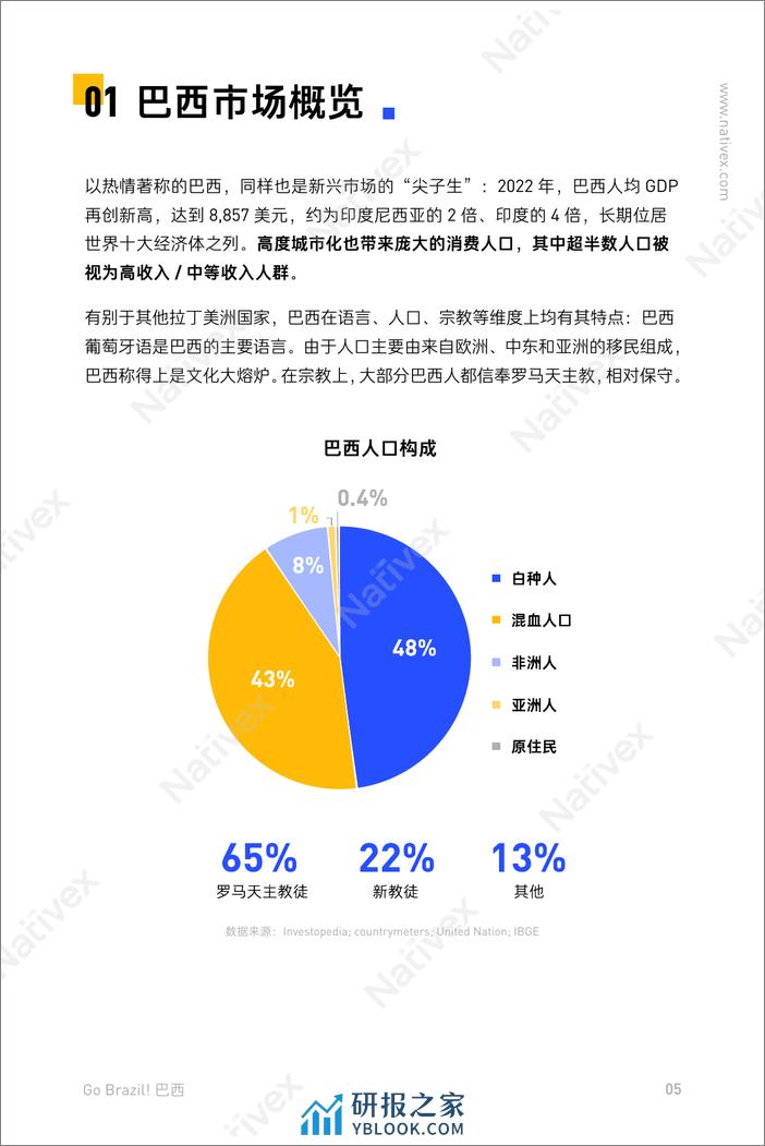 2023新兴市场白皮书 - 第5页预览图