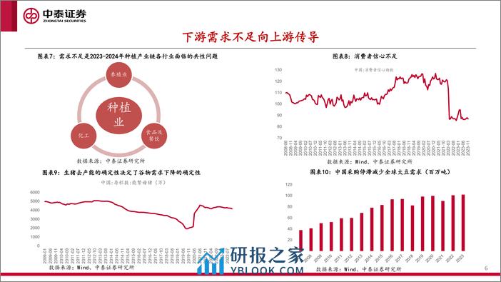 中泰证券：2024年重要农产品价格展望 - 第6页预览图