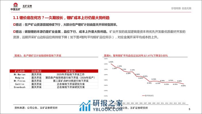 新能源行业：危中寻机—我们对锂价是否过于悲观？ - 第5页预览图