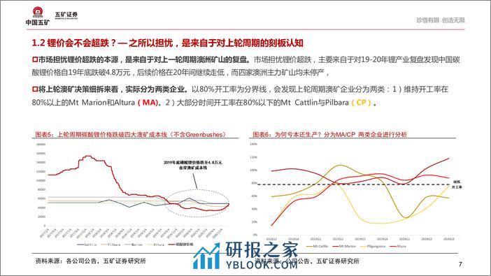 新能源行业：危中寻机—我们对锂价是否过于悲观？ - 第7页预览图